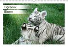 Couverture du livre « Portraits animaliers de tigrea » de Photography Jes aux éditions Calvendo