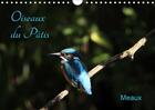 Couverture du livre « Oiseaux du parc naturel du pat » de Patrick Casaert aux éditions Calvendo