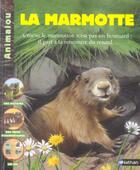 Couverture du livre « La marmotte » de Holl/Geneste aux éditions Nathan