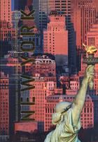 Couverture du livre « New York ; une histoire d'architecture » de Yann Arthus-Bertrand et John Tauranac aux éditions La Martiniere