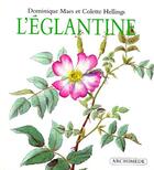 Couverture du livre « L'eglantine » de Maes Dominique / Hel aux éditions Ecole Des Loisirs