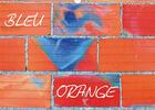 Couverture du livre « Bleu orange calendrier mural 2020 din a3 horizontal - deux couleurs s opposent dans » de Escudero Bernar aux éditions Calvendo