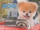 Couverture du livre « Boo: little dog in the big city » de J. H. Lee aux éditions Chronicle Books