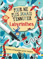 Couverture du livre « Labyrinthes - pour ne plus jamais t'ennuyer » de Akpojaro/Bowman/Cook aux éditions Usborne