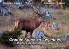 Couverture du livre « Grande faune en Cévennes » de Nicolas Pages et Antoinette Rico aux éditions Complices