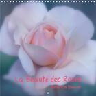 Couverture du livre « La beaute des roses calendrier mural 2020 300 300 mm square - la reine des fleurs dans toute » de Beatrice Biewer aux éditions Calvendo