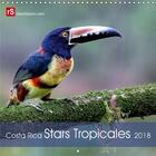 Couverture du livre « Costa rica stars tropicales calendrier mural 2018 300 300 mm - 12 stars colorees de la faune » de Bergwitz U aux éditions Calvendo