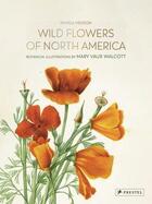 Couverture du livre « Wild flowers of north america : botanical illustrations by Mary Vaux Walcott » de Pamela Henson aux éditions Prestel