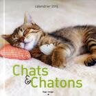 Couverture du livre « Chats & chatons ; calendrier mural 2015 » de  aux éditions Hugo Image