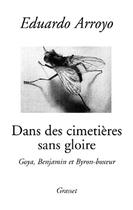 Couverture du livre « Dans des cimetieres sans gloire » de Arrayo-E aux éditions Grasset Et Fasquelle