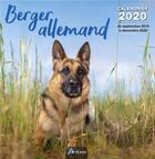 Couverture du livre « Calendrier berger allemand (2020) » de  aux éditions Artemis