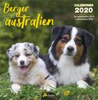 Couverture du livre « Calendrier berger australien (2020) » de  aux éditions Artemis