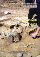 Couverture du livre « Carte archéologique de la Gaule Tome 80/2 : la Somme » de Carte Archeologique De La Gaule aux éditions Maison Des Sciences De L'homme