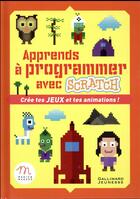 Couverture du livre « Apprendre à programmer seul » de Liliane Khamsay et Claude Terosier aux éditions Gallimard-jeunesse