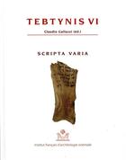 Couverture du livre « Tebtynis Tome 6 ; scripta varia » de Claudio Gallazzi aux éditions Ifao
