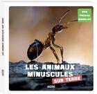Couverture du livre « Les animaux minuscules sur terre » de  aux éditions Philippe Auzou
