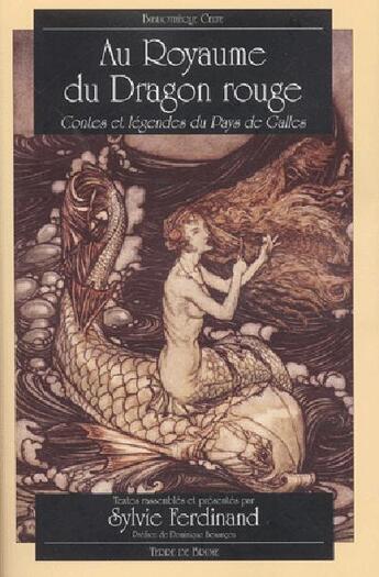 Couverture du livre « Au royaume du dragon rouge » de Sylvie Ferdinand aux éditions Terre De Brume