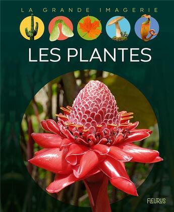Couverture du livre « Les plantes » de Marie-Christine Lemayeur et Bernard Alunni et Sabine Boccador aux éditions Fleurus