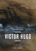 Couverture du livre « Victor Hugo, l'homme océan » de Marie-Laure Prevost aux éditions Bnf Editions