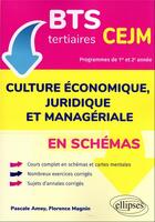 Couverture du livre « Bts tertiaires - cejm en schemas - culture economique, juridique et manageriale » de Amey/Magnin aux éditions Ellipses