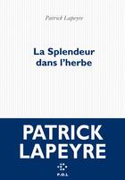Couverture du livre « La splendeur dans l'herbe » de Patrick Lapeyre aux éditions P.o.l