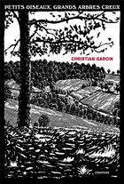 Couverture du livre « Petits oiseaux, grands arbres creux » de Christian Garcin aux éditions Finitude
