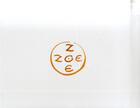 Couverture du livre « Coffret Zoé Zoé ; 2 volumes » de Titouan Lamazou aux éditions Gallimard-loisirs