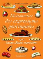 Couverture du livre « Dictionnaire des expressions gourmandes » de Stephane Gillet aux éditions Vendemiaire